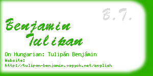 benjamin tulipan business card